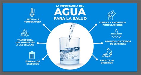 Cual Es La Importancia Del Agua En Los Seres Vivos Hot Sex Picture