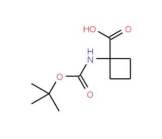 N Boc Amino Cyclobutane Carboxylic Acid Cas Scbt