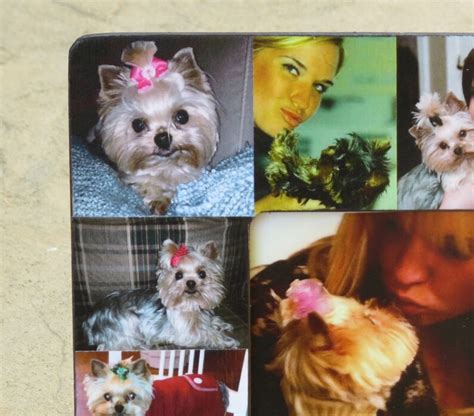 Pet Memorial Frame Pet Collage Picture Frame Personalized - Etsy