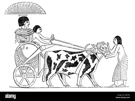 Car Chariots Chariot Ancient Egyptian Society Chariotry Kings Stock