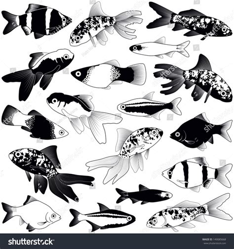 Aquarium Fish Collection Vector Silhouette Illustration Stock Vector