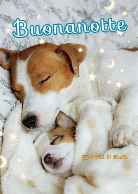 Pin Su Buonanotte Nel Auguri Di Buona Notte Buona Notte