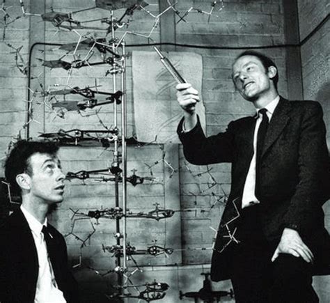 Medical Laboratory and Biomedical Science: Watson & Crick with DNA model