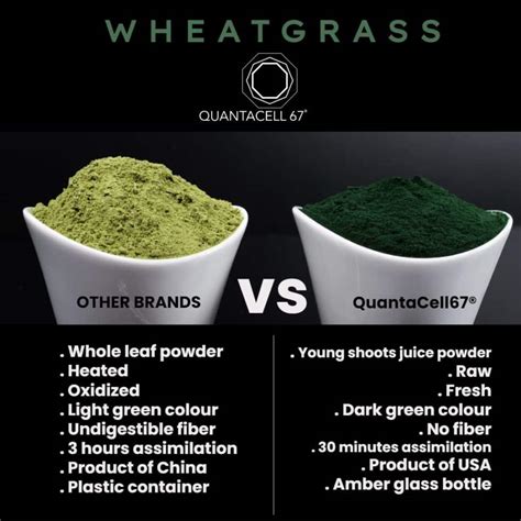 Organic Wheat Grass Juice Powder Quantacell67