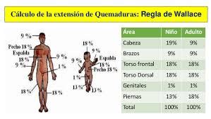 Quemaduras Grupo 3 On Emaze