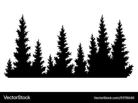 Fir Trees Silhouette Coniferous Spruce Horizontal Vector Image