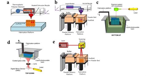 University Of Akron Thesis Student 3d Prints Ppf Structures For Bone