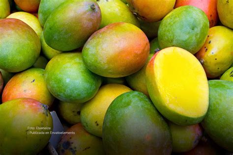 Mango Colombiano Parti Hacia Estados Unidos M S Colombia