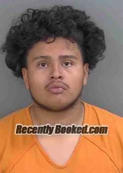 Recent Booking Mugshot For JOAN ISAAC ROBLERO In Collier County Florida