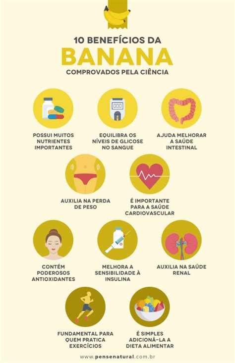Banana Benefícios E Malefícios - O Poder da Banana | Mundo Ecologia