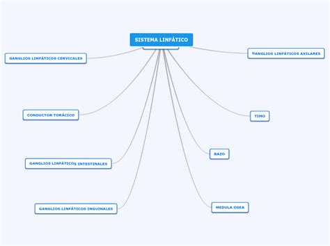 Sistema Linf Tico Mind Map