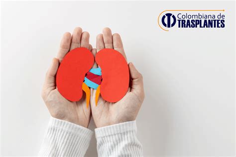 Salud renal Día Mundial del Riñón Colombiana de Trasplantes