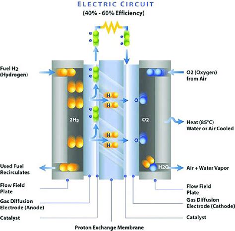 Basic Structure Of Pem Fuel Cell Download Scientific Diagram