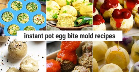 Instant Pot Egg Bite Mold Recipes (More Than Eggs!)