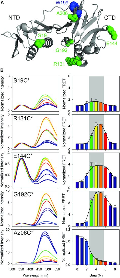 The surface residues come in close proximity during DMG formation. (A)... | Download Scientific ...