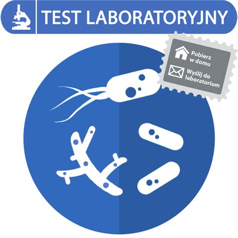 Valida Mikroflora Jelitowa Plus Laboratoryjne Badanie Mikroflory