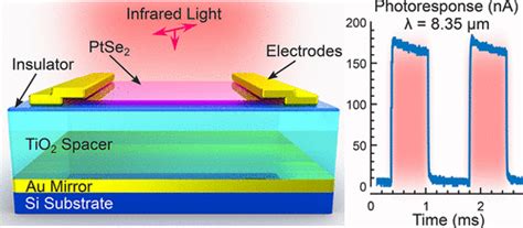 Long Wave Infrared Photodetectors Based On D Platinum Diselenide Atop