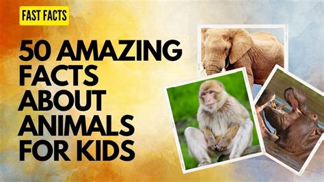 50 Fast Facts About Animals For Kidsinteresting Animal Facts For Kids