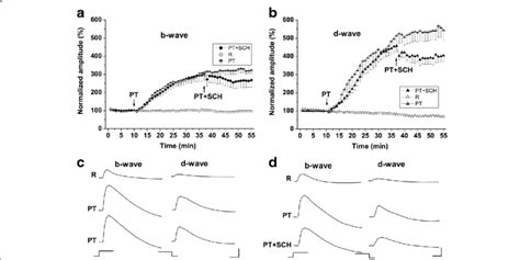 Effects of picrotoxin and picrotoxin plus SCH 23390 on the ERG waves a ...