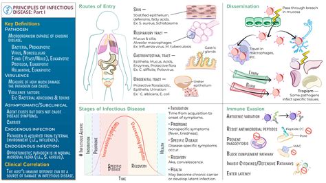 Anatomy And Physiology Principles Of Infectious Disease Part 1 Ditki