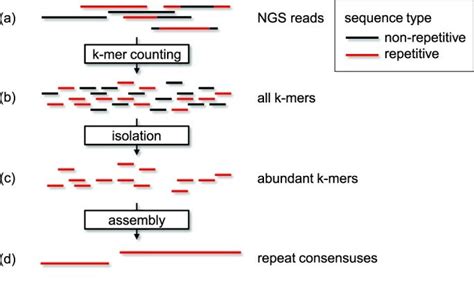 Workflow Of The Repeat Library Creation Pipeline RepARK WGS Sequencing