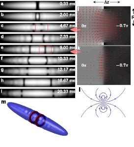 Oscillating Soliton Vortex Ring Steinhauer Atomic Physics Laboratory