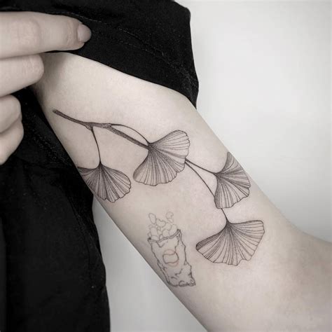 Ginkgo Leaf Tattoo Located On The Inner Arm