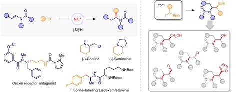 Chiral Amines Synthesized By Nickel Catalysed Asymmetric Reductive