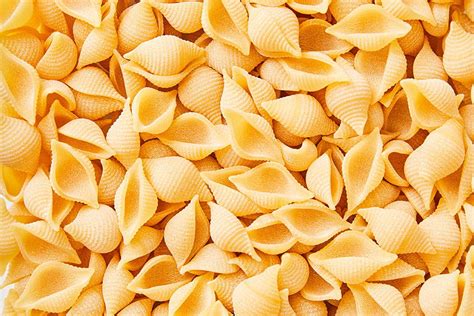 Spotlight Series: All About Conchiglie (Also Known As ‘sea Shell Pasta’ And ‘pasta Shells ...