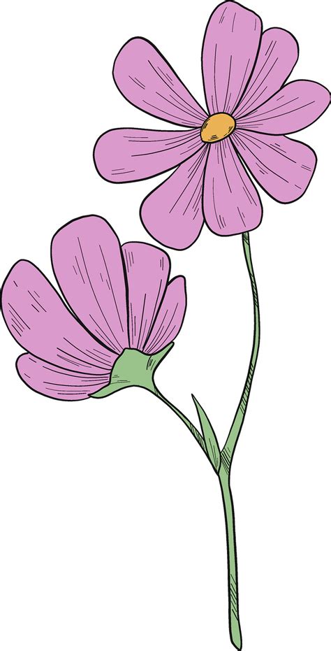 Colorful Spring Wildflowers Bouquet Royalty Free Svg Cliparts Clip