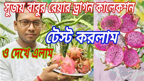 গাছ কিনে প্রতারণা আর নয় ফল ধরা মাদার গাছ থেকে সরাসরি ডাল সংগ্রহ করুন