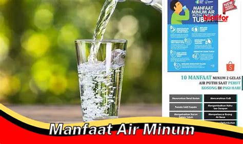 Temukan Manfaat Minum Air Yang Perlu Kamu Ketahui Biotifor