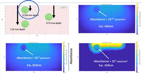 Skin Photobio Modulation Therapy Video Lecture Emoled