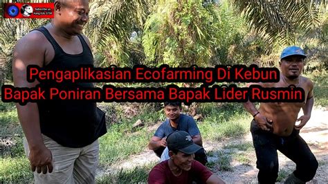 Pengaplikasian Ecofarming Di Kebun Bapak Poniran Bersama Lider PT BEST