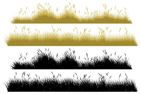 Autumn Grass Dry Grass 10890799 Vector Art At Vecteezy