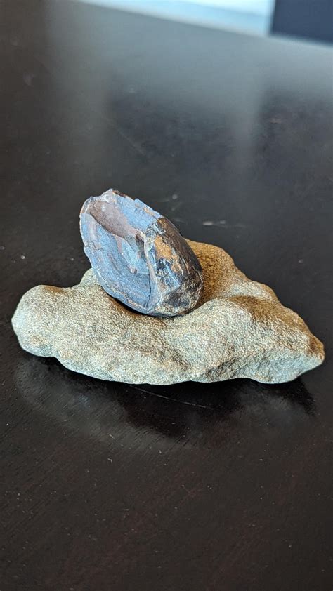 Very Odd Duo Any Ideas Rwhatsthisrock