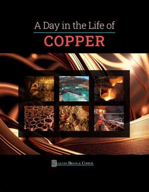 Sequoia Brass Ebook A Day In The Life Of Copper Sequoia Brass And Copper