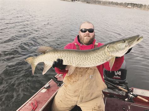 Leech Lake Fishing Guide Professionally Guided Fishing On Leech Lake