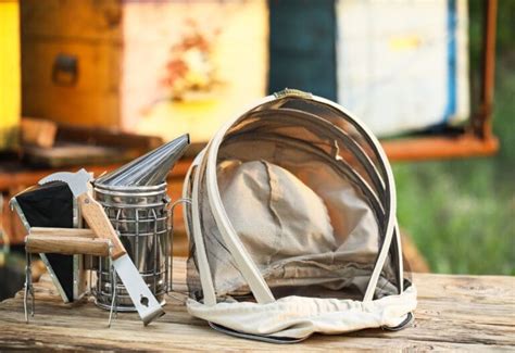 Step By Step Guide To Starting Beekeeping For Beginners