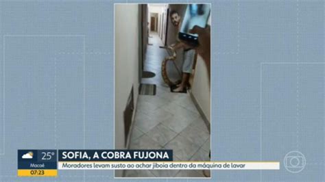 Moradores De Santa Teresa Levam Susto Ao Encontrar Cobra Dentro Da