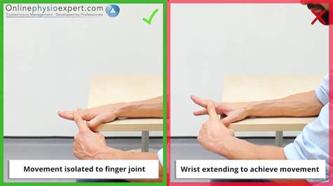 Metacarpophalangeal Joint Extension