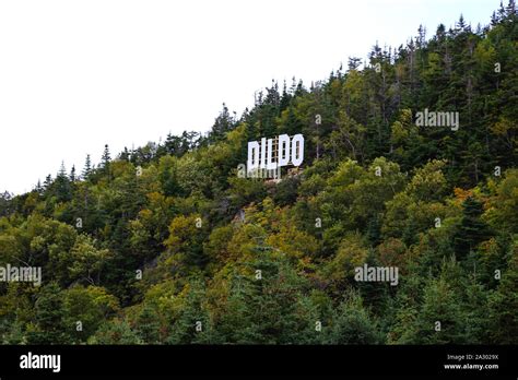 Dildo A Small Fishing Village In Newfoundland Town Sign On Hillside Stock Photo Alamy