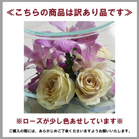 【楽天市場】【訳あり】【残り1点】ボトルフラワー ラウンド型 ローズ ラン 黒江塗 大サイズ 1個 バラ 薔薇 蘭 ドライフラワー 花