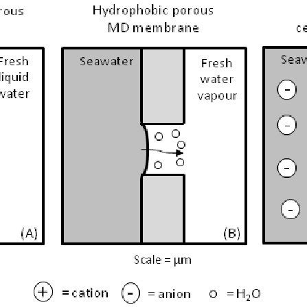 Schematic Representation Of Transport Mechanism Through A Membrane Via