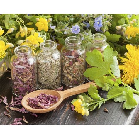 What Is the Herb Burbur Used for in Detox? | Healthfully