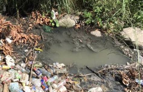 Sin atender contaminación en el Río Cuautla LA JORNADA MORELOS