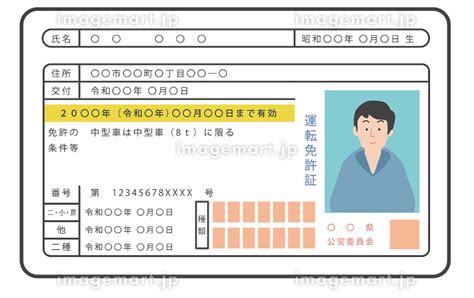 日本の運転免許証（男性）・表面のみのイラスト素材 241497077 イメージマート