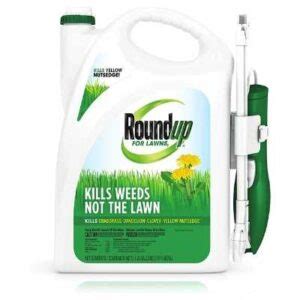 Best Weed Killer For Flower Beds Review