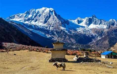 Everything You Kneed To Know About Manaslu Circuit Trek