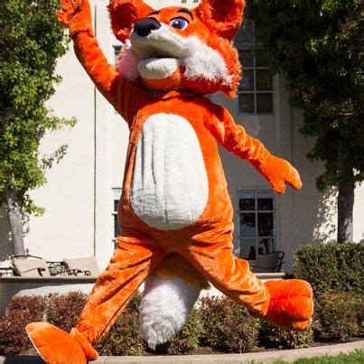 18 Firefox mascot ideas | firefox, mascot, firefox os